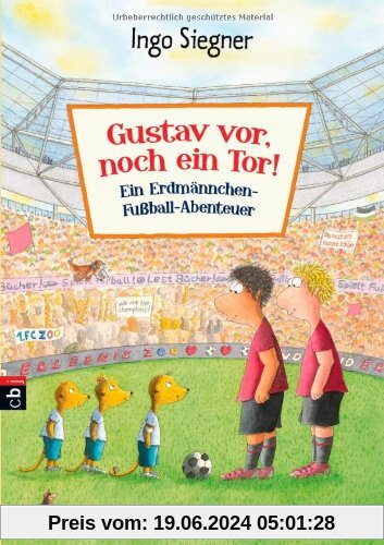 Gustav vor, noch ein Tor!: Ein Erdmännchen-Fußball-Abenteuer
